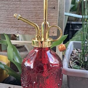 Red Glass Mister For The Indoor Plants In Your House.